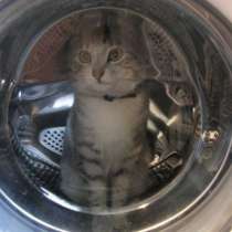 Ремонт холодильников и стиральных машин в Челябинске, в Челябинске