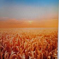 Пашни, пастбища, в г.Астана