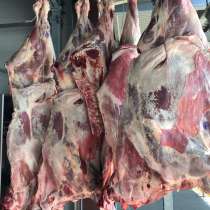 Мясо оптом (свинина/ говядина), в Москве