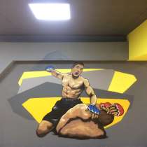 Борцовский ковер, стеновые протекторы, маты, в Звенигороде