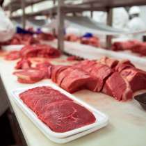 Работа в Польше - выезд 4-го мая!, в г.Кишинёв