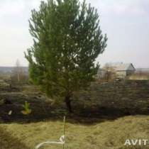 Куплю Преобрету стройматериалы в обмен на сад, в Челябинске