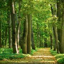 Семейная пара (работники) в загородный дом, в Санкт-Петербурге