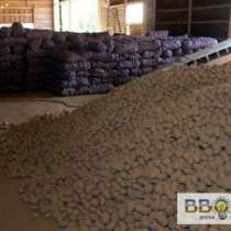 Картофель оптом от производителя. Производство РФ, в Москве