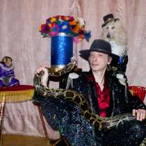 Дрессированные животные на детский праздник, в Москве