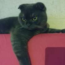 Вязка, в г.Тель-Авив