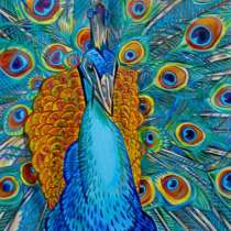 Картина Павлин(графика), в Саратове