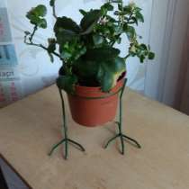 Оригинальная подставка под горшок. в виде куриных ножек, в г.Минск