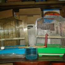 клетка, в Барнауле