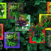 Фитокартины, в Сургуте