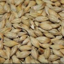 Ячмень, в Салавате