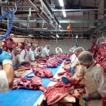 Ирландия. Работа на мясокомбинате. Уотерфорд. 2100 евро, в г.Кишинёв