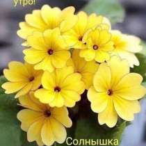 Гена, 58 лет, хочет пообщаться, в Ростове-на-Дону