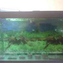 Продам аквариум на 500 литров, в Обнинске
