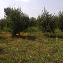 Земельный участок, в г.Баку