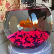 Аквариум с подсветкой и фильтром б/у ~8-10 литров ? Торг ум, в Москве