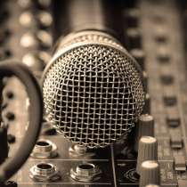 Музыка и ведущий на свадьбу, в г.Брест