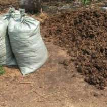 навоз-перегной, в Голицыне