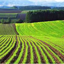 Агроферма 4500 м. кв, Старобешево, в г.Донецк