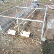 Клетки для кур несушек, в Тольятти