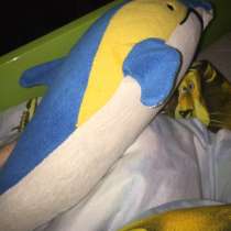 Дельфин, в г.Витебск