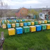 Продам ульи 12-ти рамочные 2-ух корпусные ДАДАН, в г.Луганск