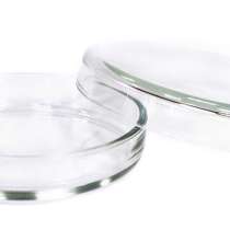 Чашка Петри 100х20 стекло, в Красноярске