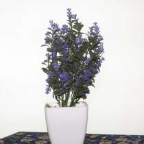 Растения интерьерные искусственные (цветы лаванды) в Ковров, в Коврове
