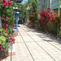 Сдаётся дом для празднования Нового года, в Феодосии