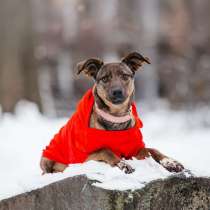 Стася ищет дом — и сердце, в котором она снова будет нужной, в Москве