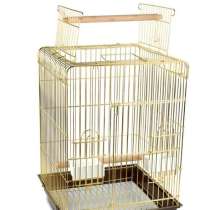 Клетка, в Москве