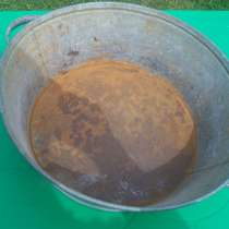 Сандуновские бани. Таз малый 1970 год, в Москве