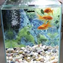 Аквариум 30 л Акваэль, в Пушкино