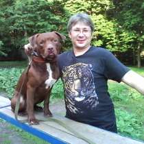 Кинолог: профессиональная дрессировка собак, в Москве