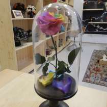 ЖИВАЯ и НЕУВЯДАЮЩАЯ РОЗА в колбе из сказки Красавица и чудов, в Ростове-на-Дону