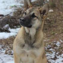 Ютта ищет любящую семью!, в Ухте