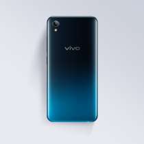 Vivo Y91C, в Москве