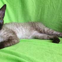 Любимчики, в г.Несебыр