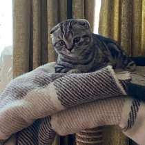 Наш мальчик ищет девочку), в Чите