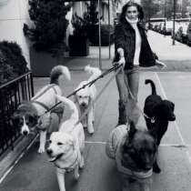 Выгул собак, в Уфе