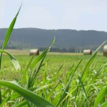 Сеть сеновязальная "ТАМА" экобул 3000*1,23 м, в Екатеринбурге