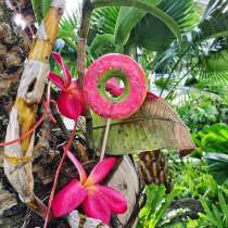 Леденцы оптом, в Красноярске