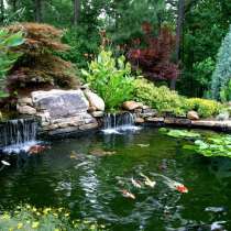 Пруд на участке в Белгородской области, в Белгороде