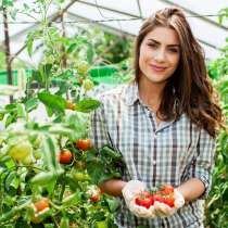 Упаковщик\ца помидоров\вахта Москва, в Москве