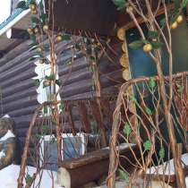 Художественная ковка ООО "КАРРОН", в Челябинске