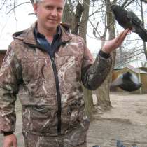 Ищу работу, в Коврове