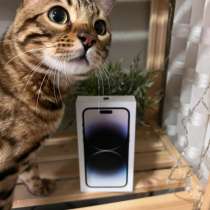 IPhone, в Челябинске