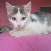 Оглянись среди ночи и дня, в г.Усть-Каменогорск