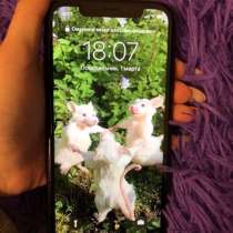 IPhone XR black 64gb, в Новороссийске