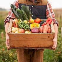 Фермерские продукты, здоровое питание, домашняя еда, в Архангельске